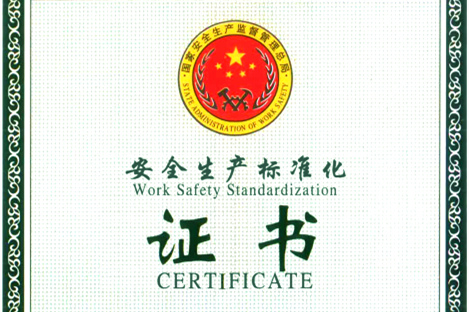 集團取得安全生產(chǎn)標準化三級企業(yè)證書